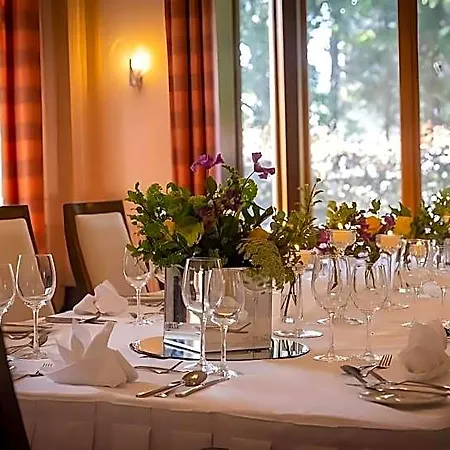 The Brehon &