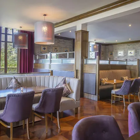 The Brehon &